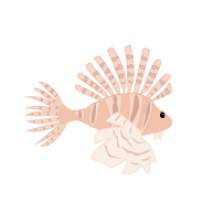 lionfish graphic