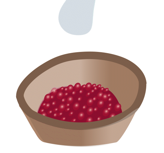 animated graphic of water flowing over coffee cherries in a bin